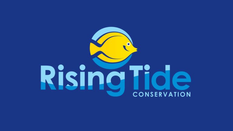 Read more about the article Rising Tide Conservation is on Facebook