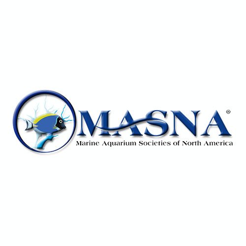 sponsor_masna