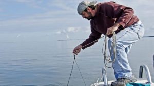 Read more about the article Live Feeds at the Tropical Aquaculture Lab: Method