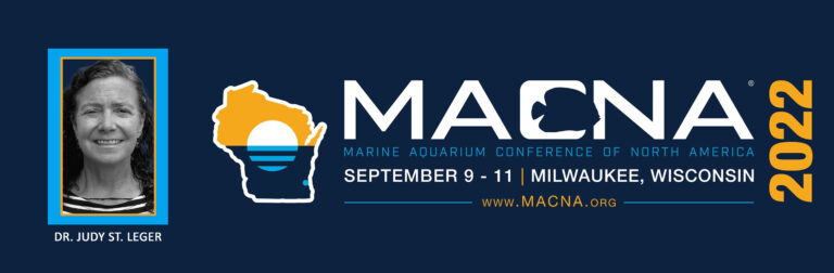 Read more about the article Dr Judy St Leger is the MACNA 2022 Keynote Speaker
